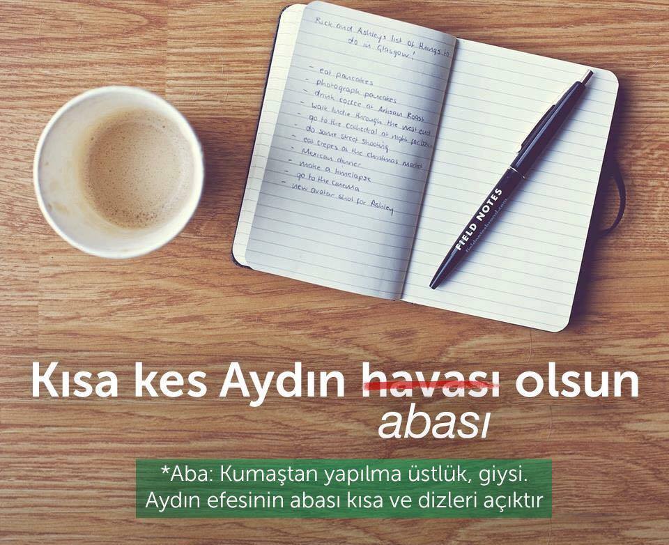 kisa-kes-aydin-abasi-olsun